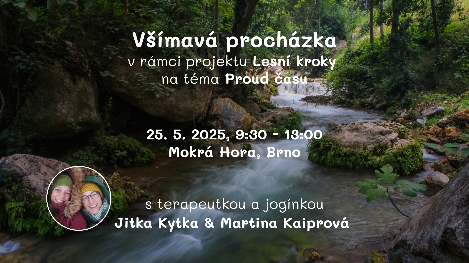 Lesní kroky - V proudu času