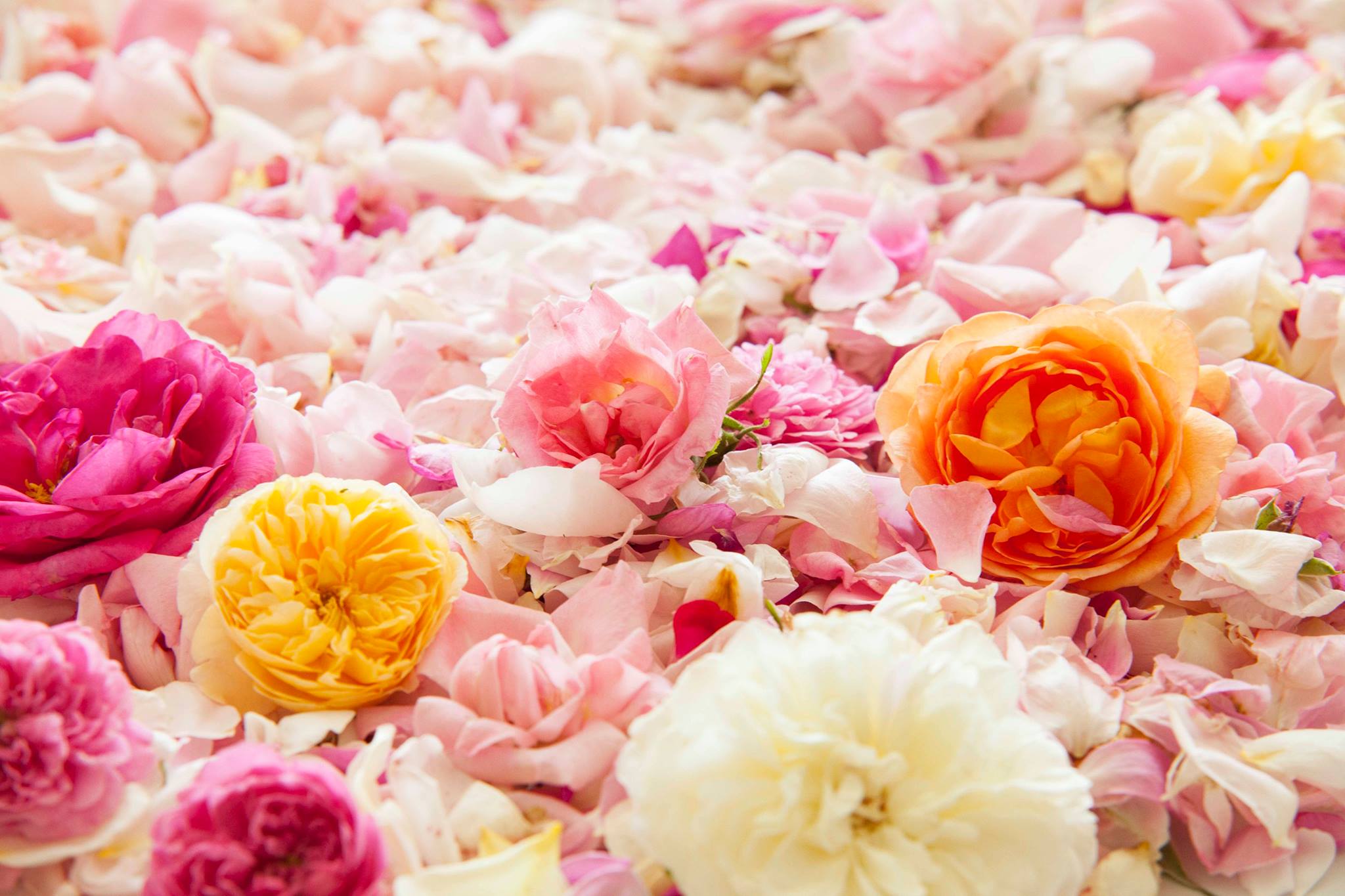 Touches with the essence of the creation of personal essence