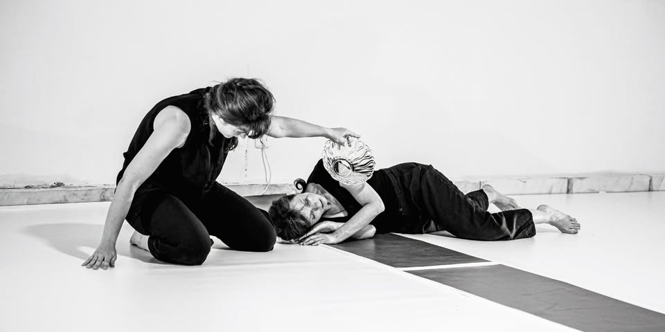 The body looks - lessons of somatic movement and dance