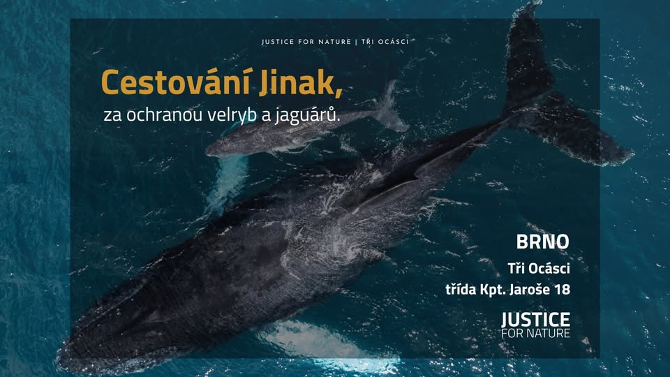 Cestování jinak, aneb k ochraně divočiny