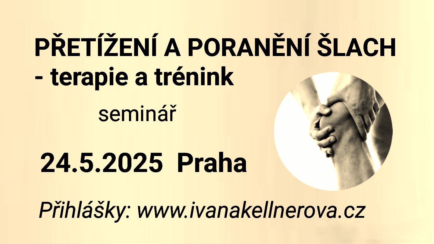 PŘETÍŽENÍ A PORANĚNÍ ŠLACH - terapie a trénink