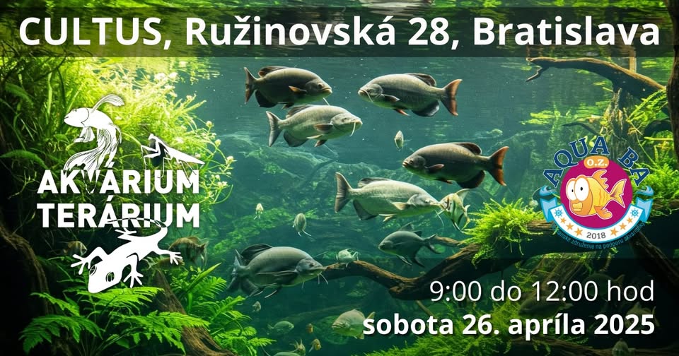 Predajná výstava Akvárium Terárium