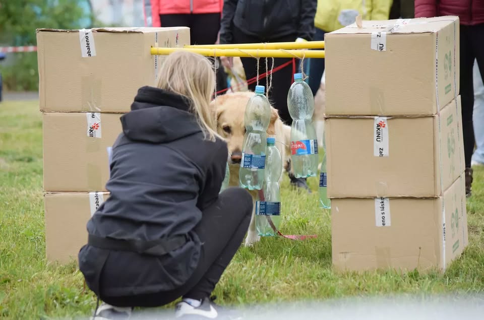 Happy Dog Show 2025 – Kudy z nudy