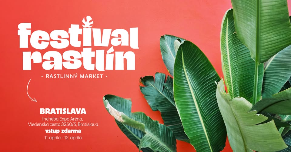 Festival Rastlín v Bratislave – veľký trh rastlín za super ceny