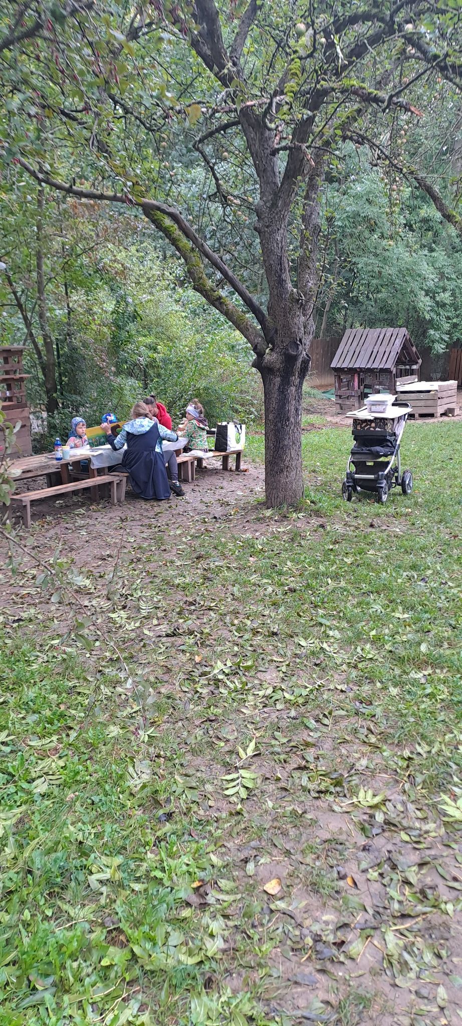 Tajemství přírody (badatel*ka v lese II)