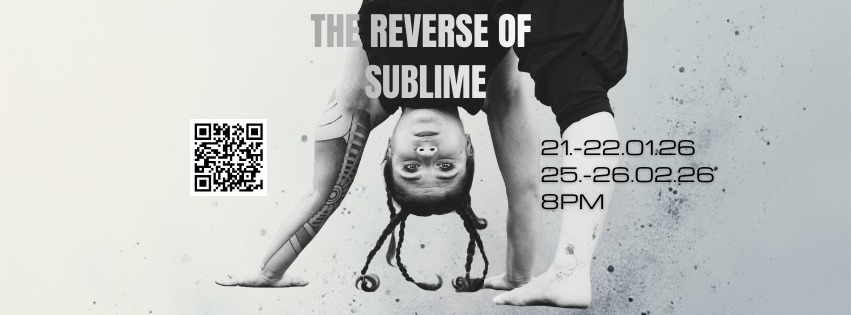 THE REVERSE OF SUBLIME