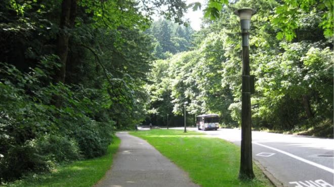 FOOD DRIVE NOV + Willamette Park & Terwilliger Trail (Run in S. Waterfront PDX)