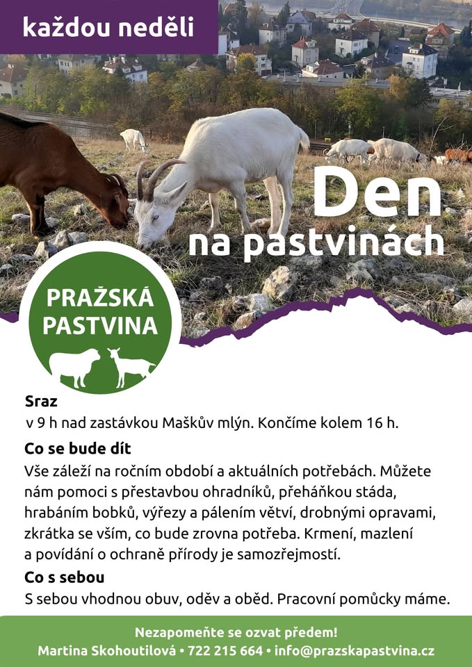 Den na pražských pastvinách