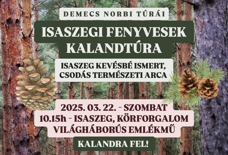 Isaszegi fenyvesek mélyén - kalandtúra Isaszeg kevésbé ismert természeti régiójában