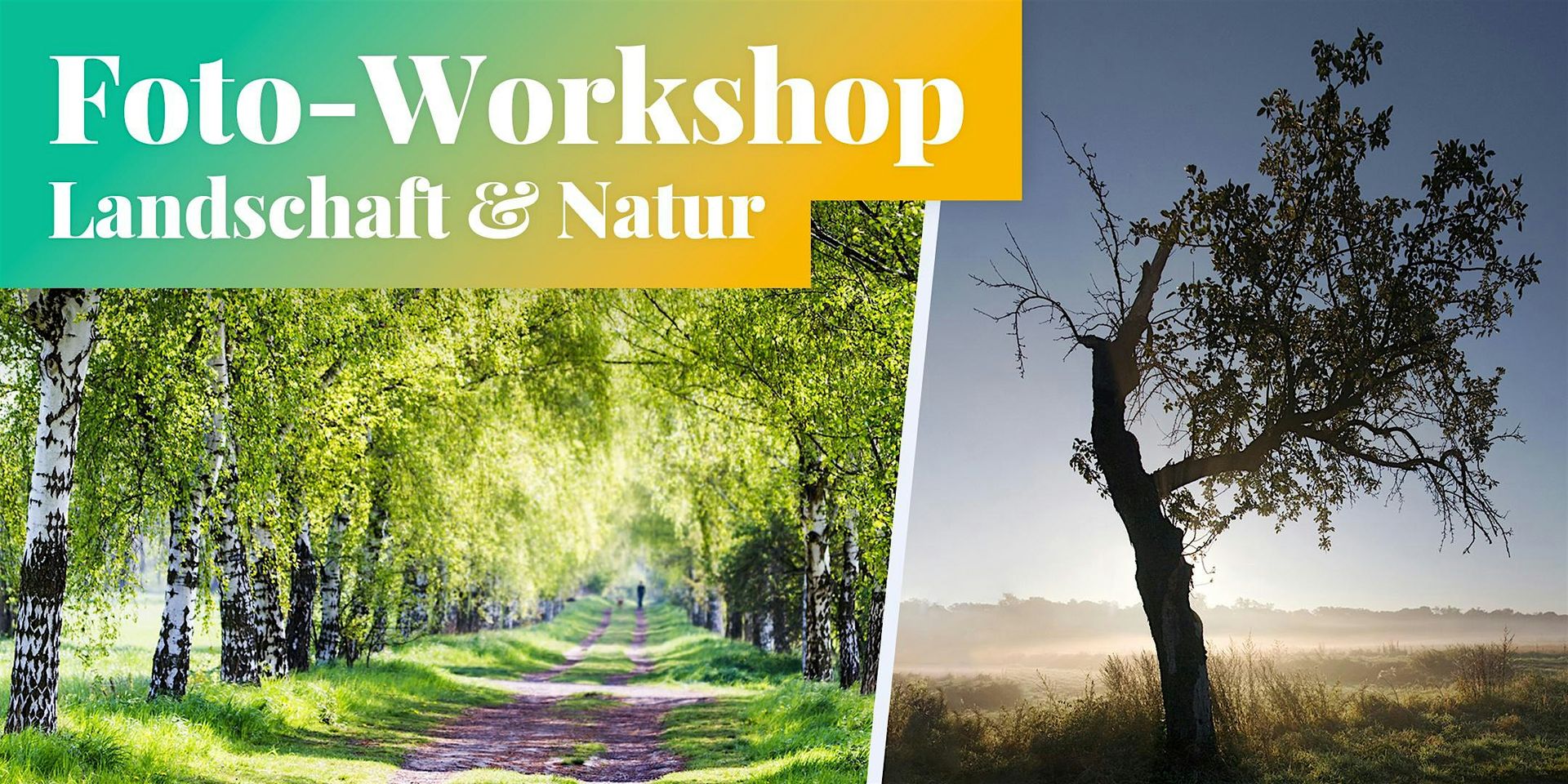 Fotokurs: Landschafts- & Naturfotografie