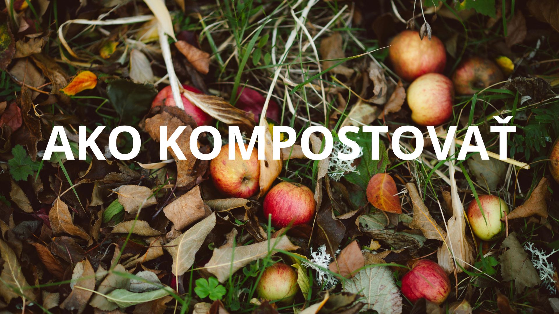 AKO KOMPOSTOVAŤ – nauč sa premeniť odpad na živiny !