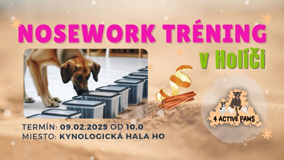 4AP NOSEWORK TRÉNING V HOLÍČI