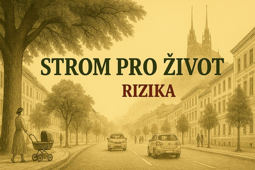 Strom pro život – život pro strom "Rizika"