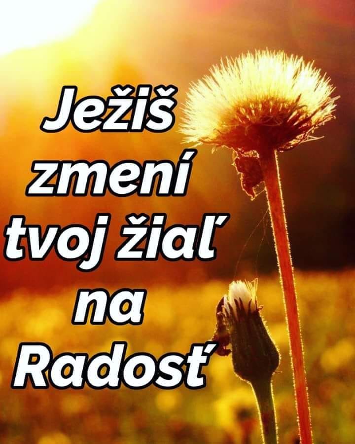 Bohoslužba (sunday service)