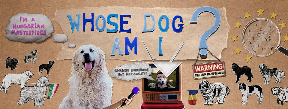 Whose Dog Am I? ǀ CHB Filmklub