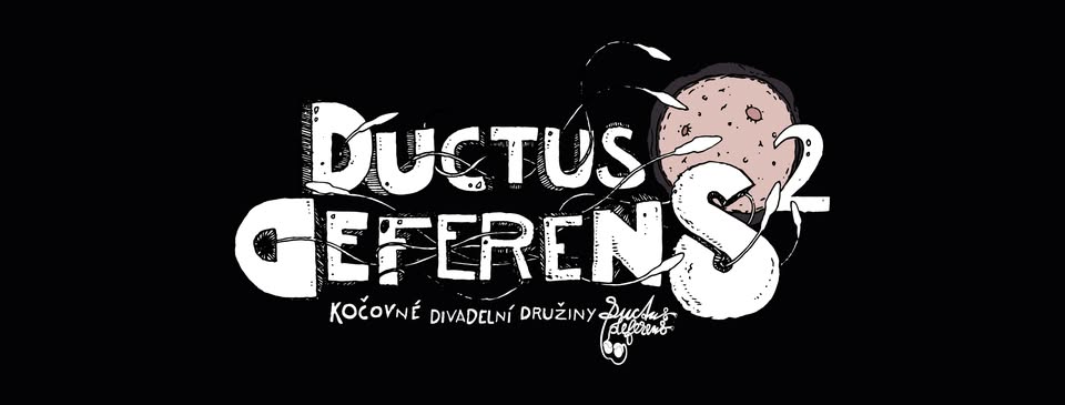 Ductus Deferens: Ductus Deferens²