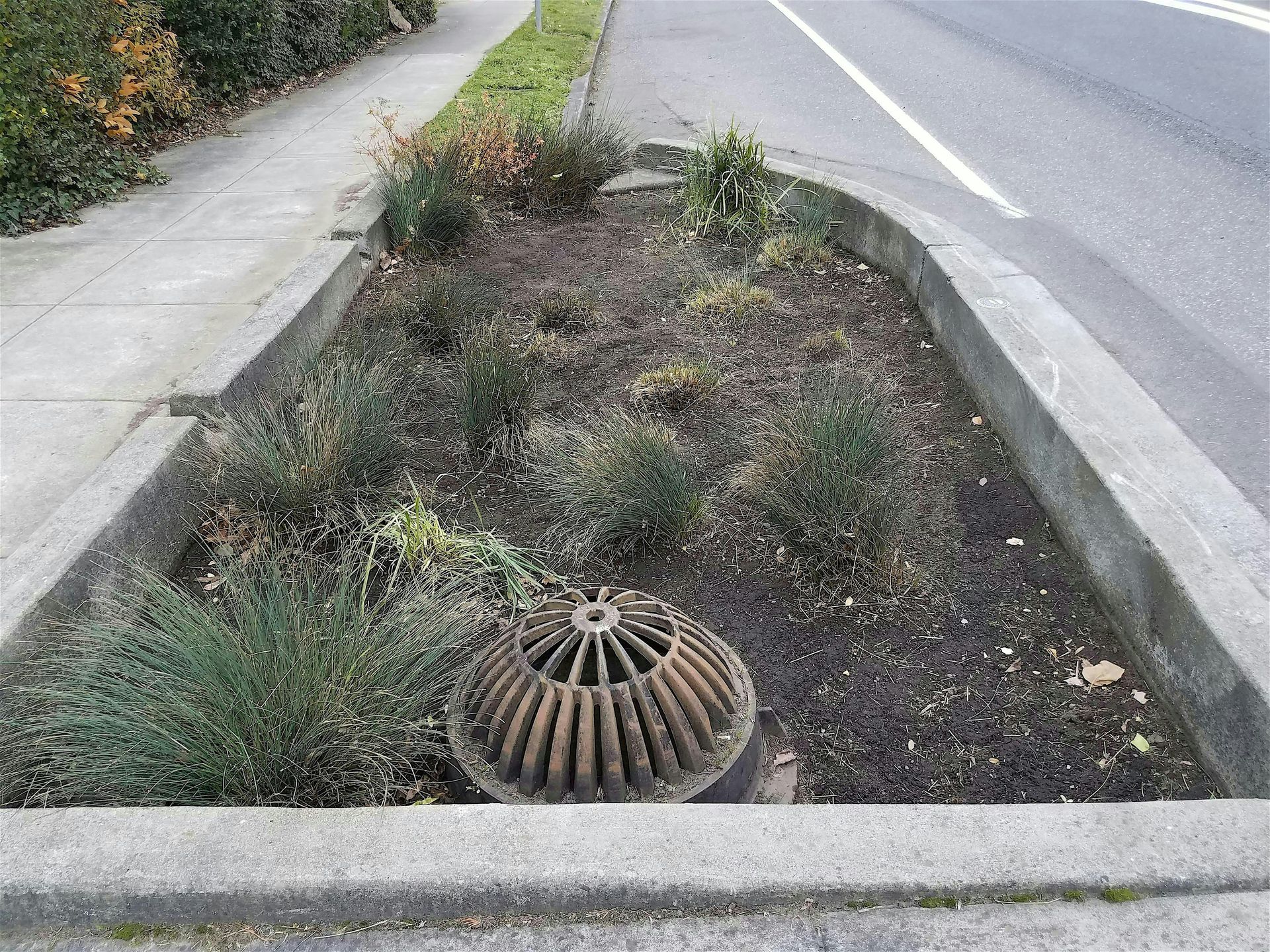 Intro to Stormwater: Solutions for Healthy Waterways
