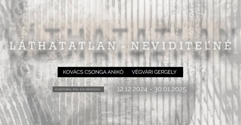 LÁTHATATLAN - NEVIDITEĽNÉ // kiállításmegnyitó - vernisáž výstavy