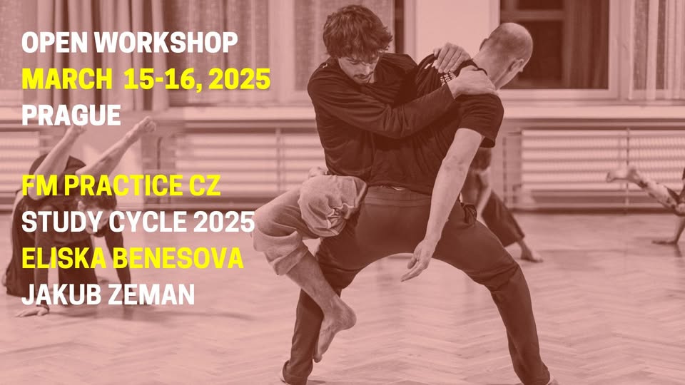 Open Workshop March - FM Practice CZ