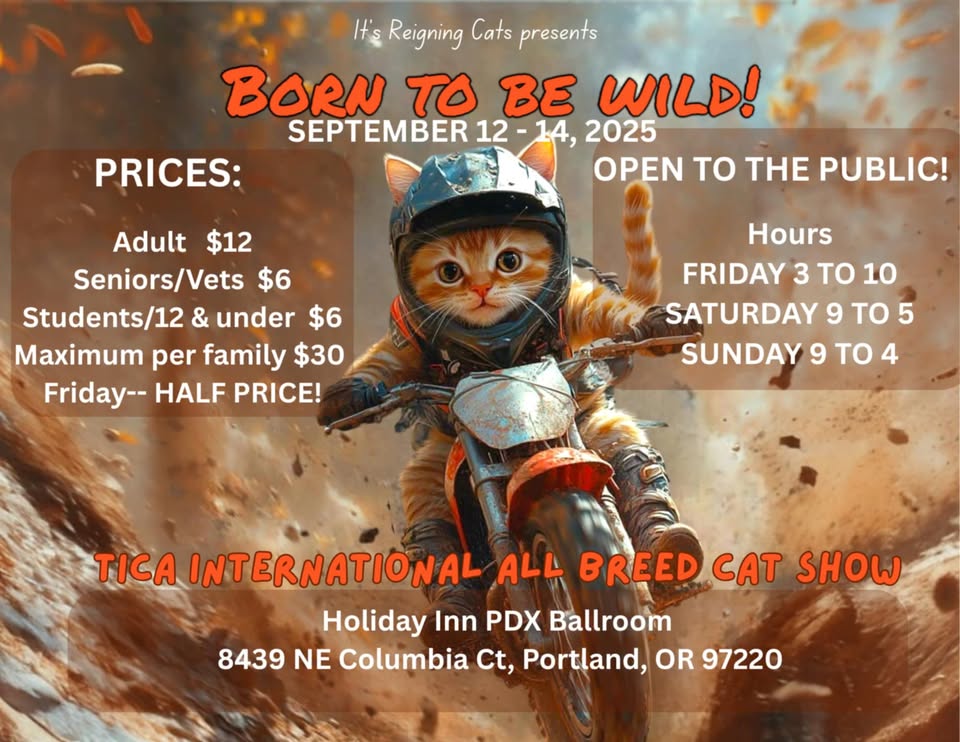 It’s Reigning Cats Allbreed International Cat Show