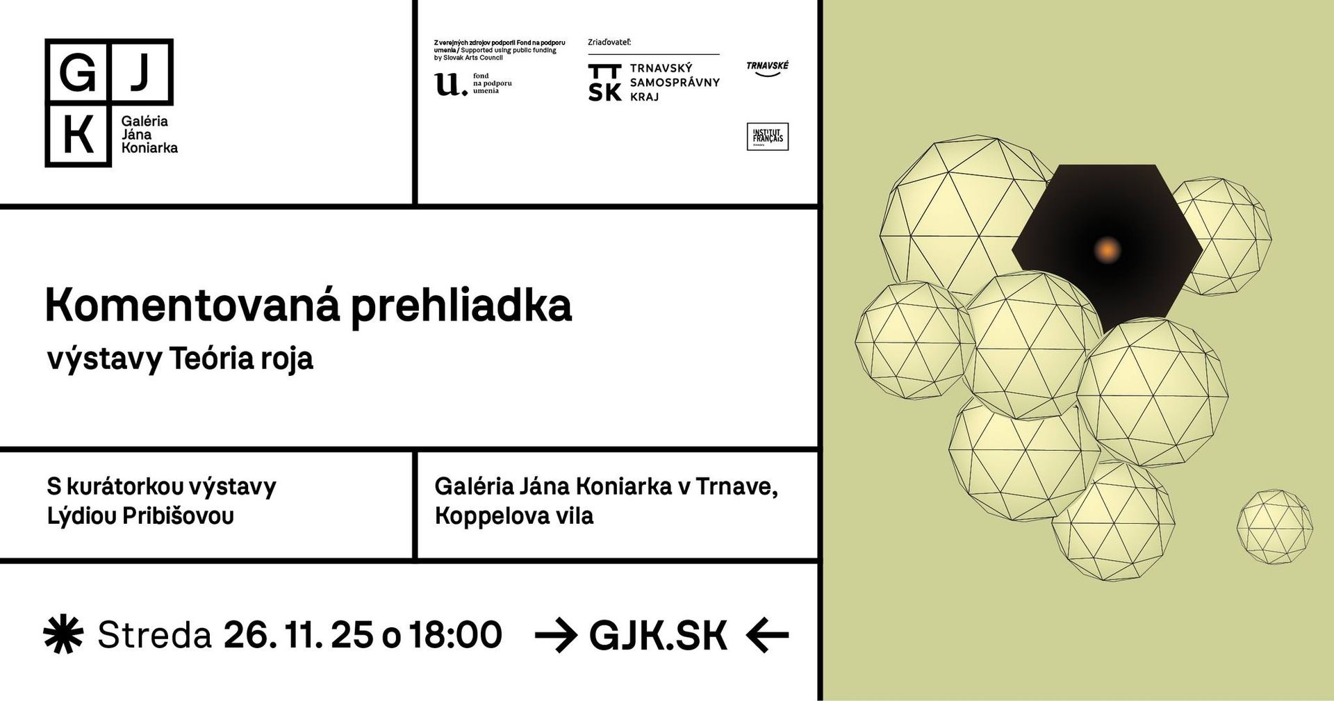 Komentovaná prehliadka výstavy Teória roja