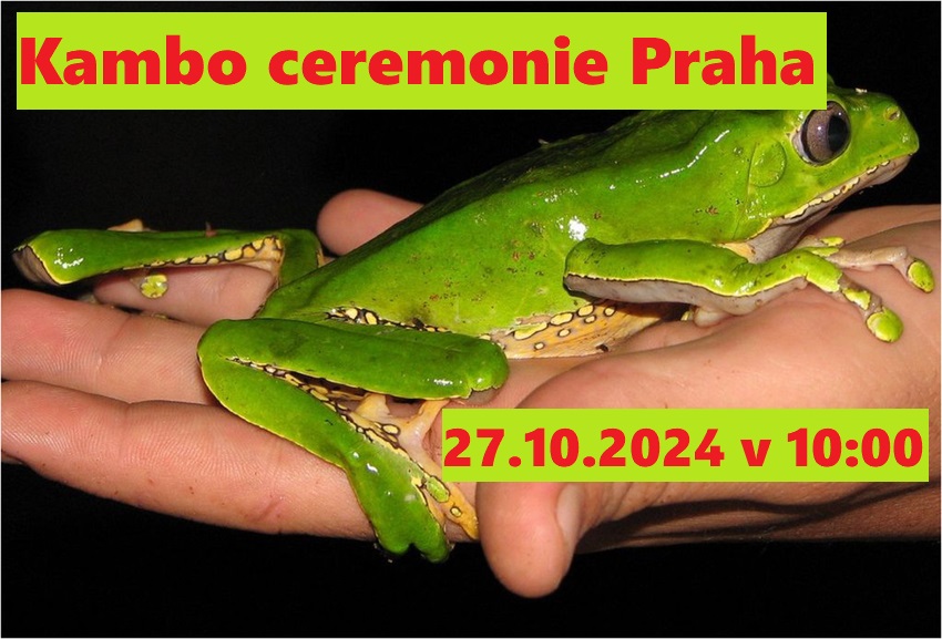 Kambo ceremonie Praha 27.10.2024
