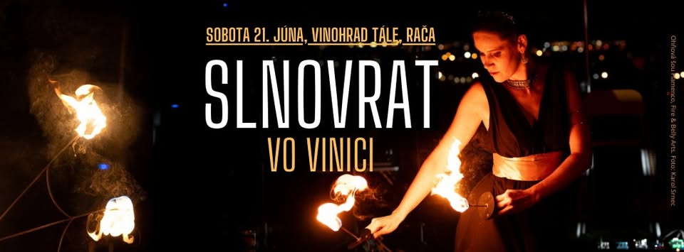 Slnovrat vo vinici