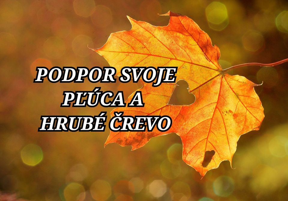 Podpor svoje PĽÚCA a HRUBÉ ČREVO
