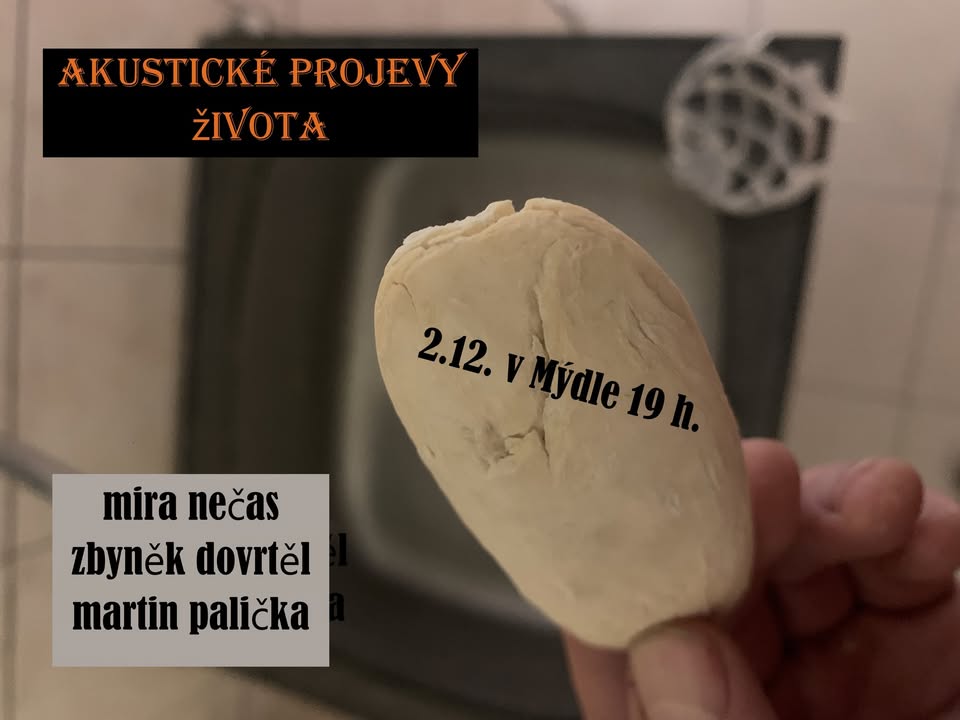 Akustické projevy života - koncert