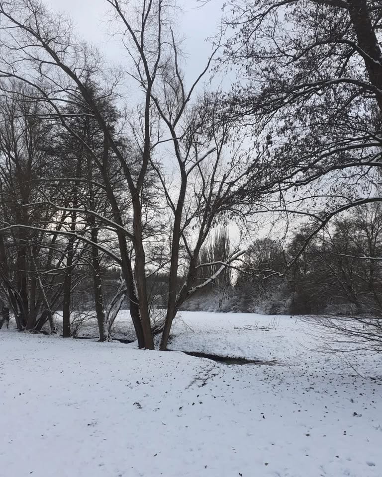 Wanddy jde na procházku do Zamilovaného hájku