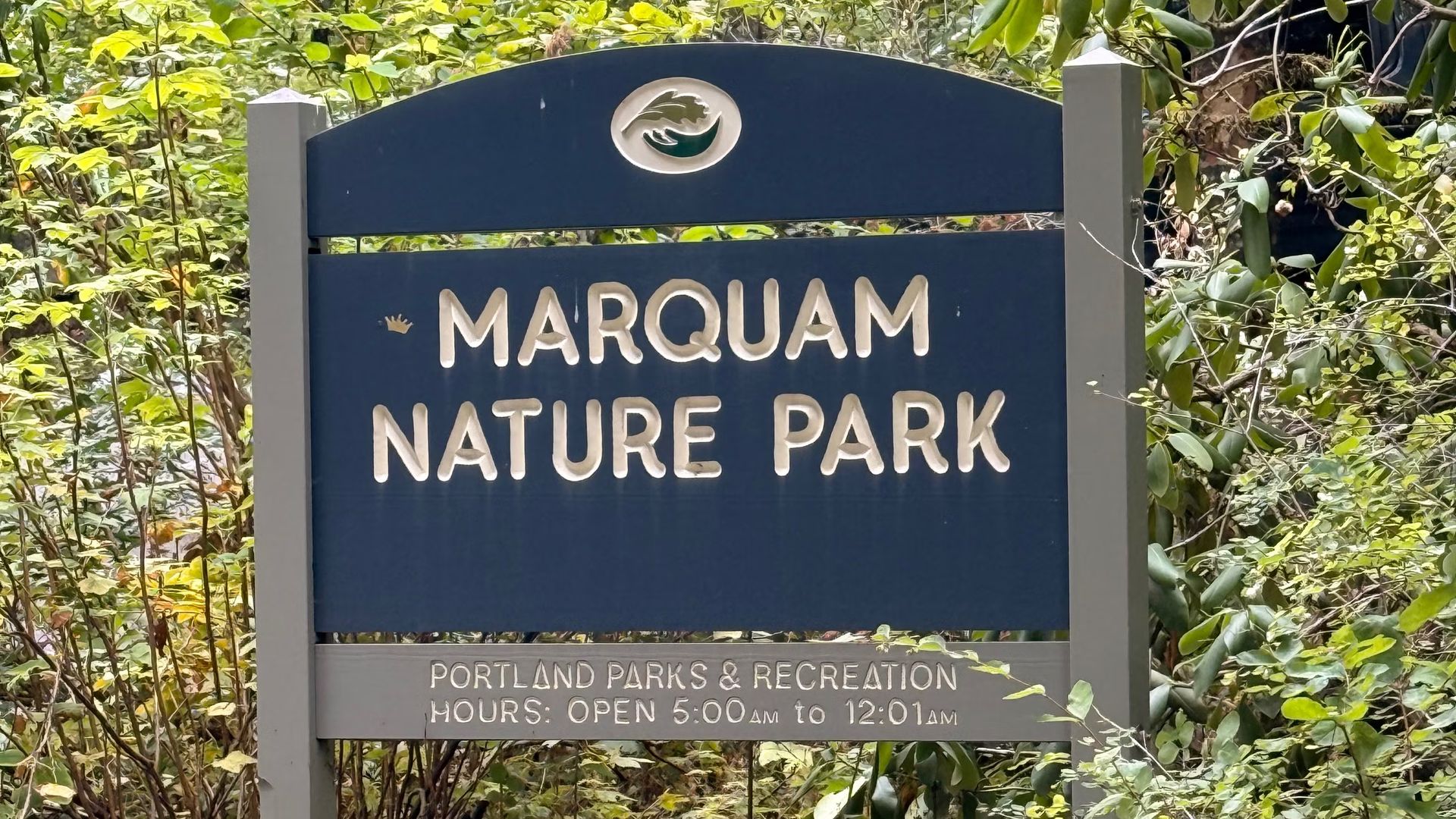 Hike Marquam Nature Park in Portland