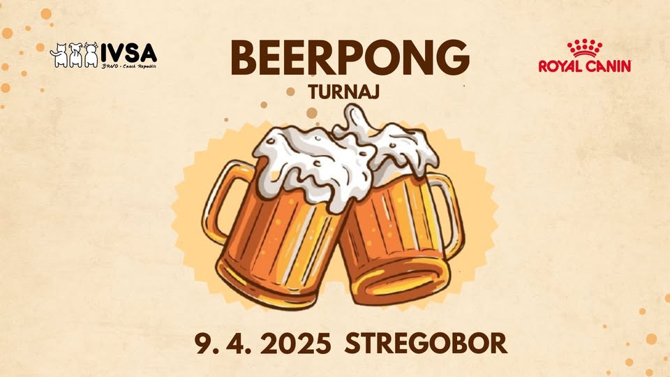 Beerpong turnaj