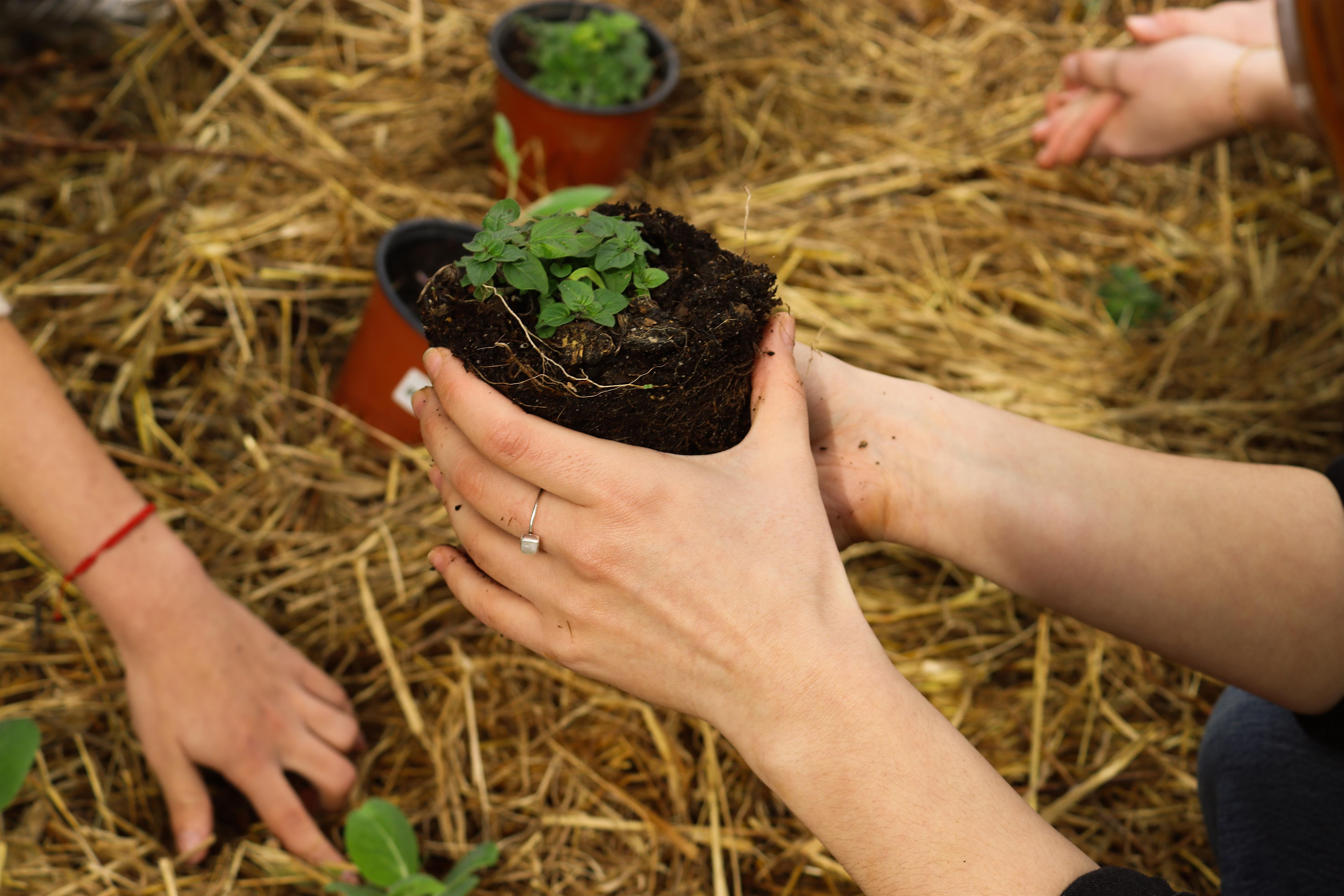 Concepts and themes of Permaculture Design Free Seminar