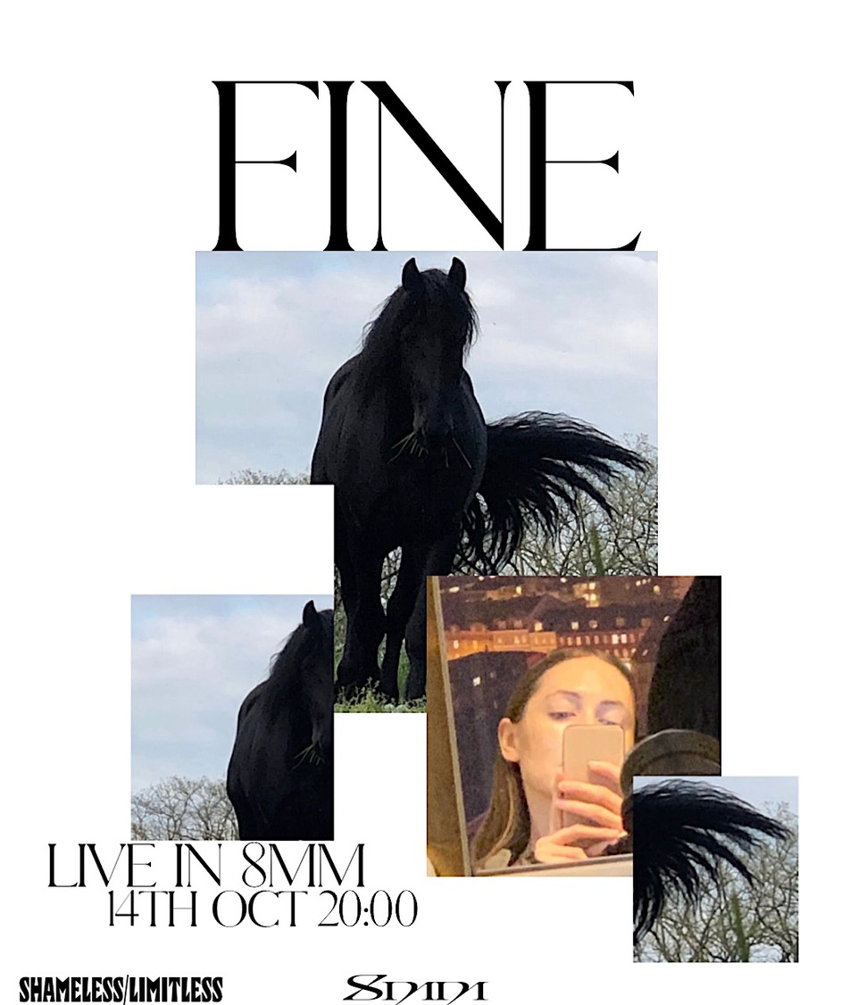 8MM + Shameless/Limitless Present: Fine (Escho, Copenhagen)