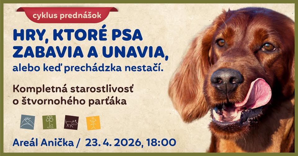 Hry, ktoré psa zabavia a unavia