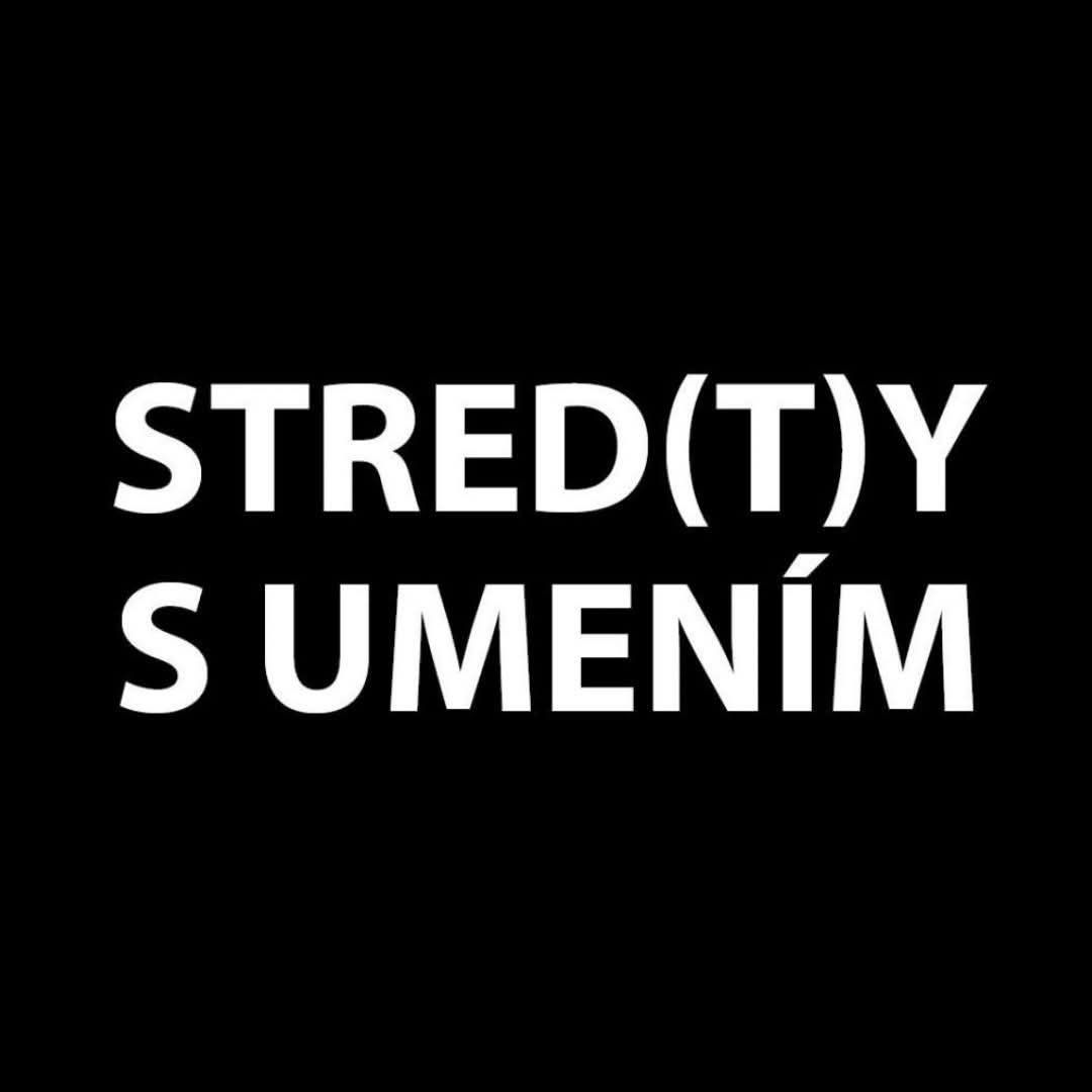 Stred(t)y s umením - Socha v meste X.