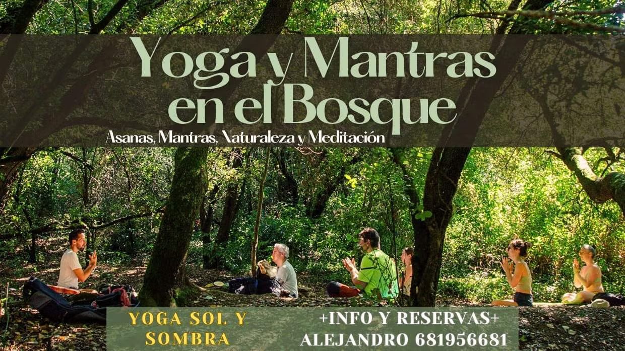 Yoga, Mantras & Rivers in the Forest of the forest "Under the music of the forest"