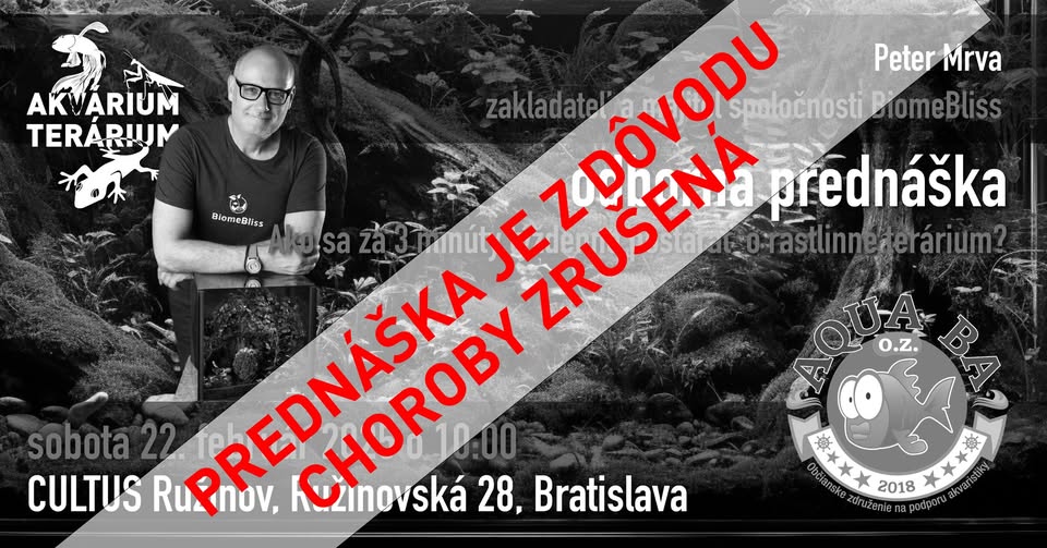 Ako sa za 3 minúty týždenne postarať o rastlinné terárium? - PREDNÁŠKA ZRUŠENÁ