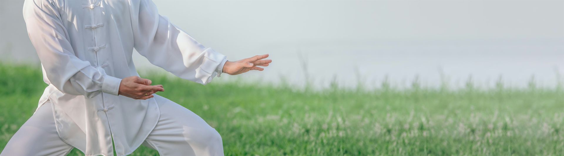 Intro to Inner Flow Chen Tai Chi Class