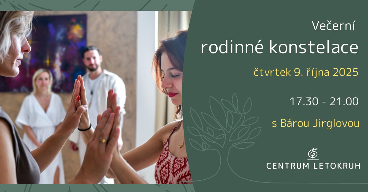 Evening family constellations with Bára