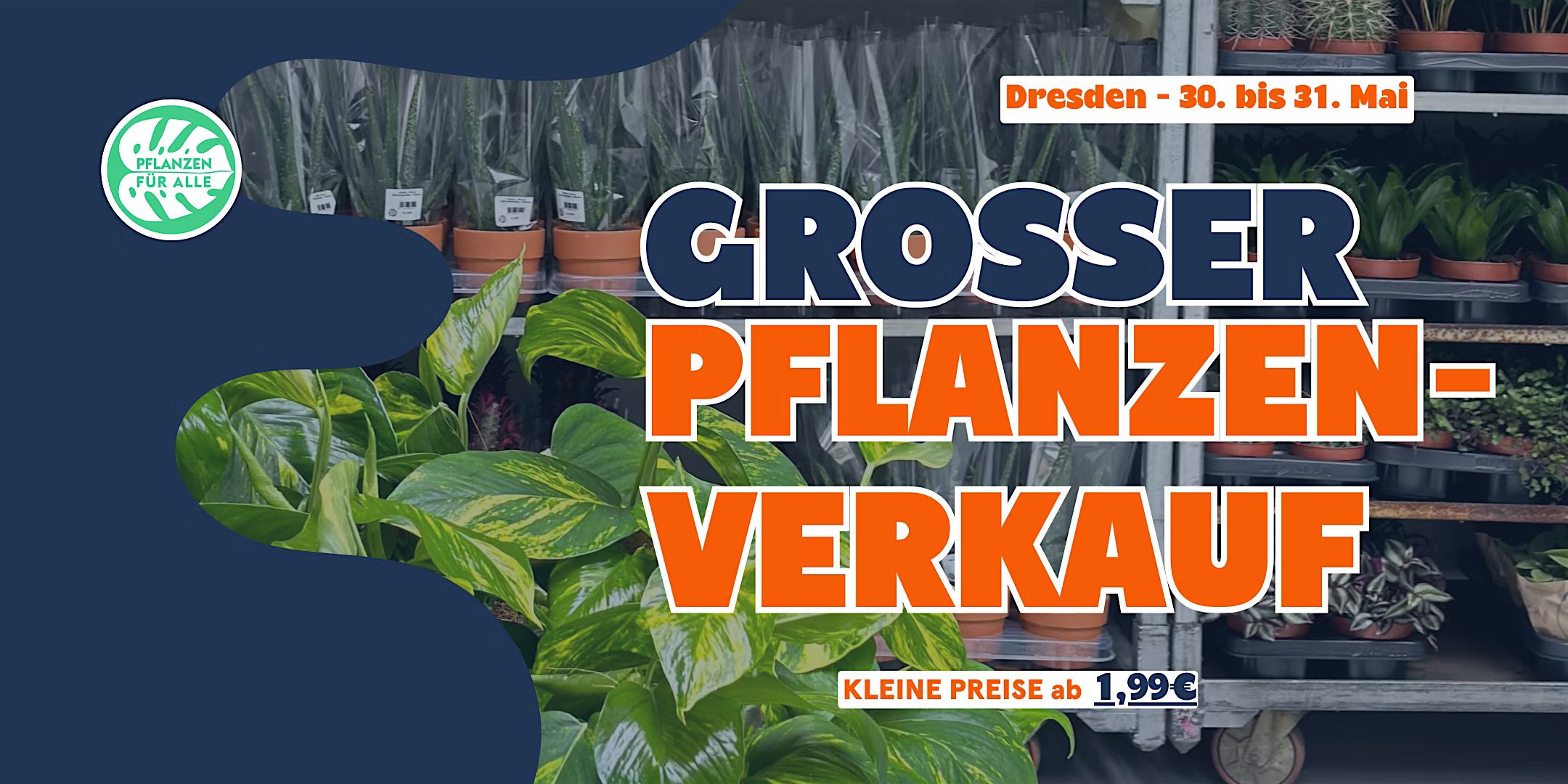 Großer Pflanzenverkauf - Dresden