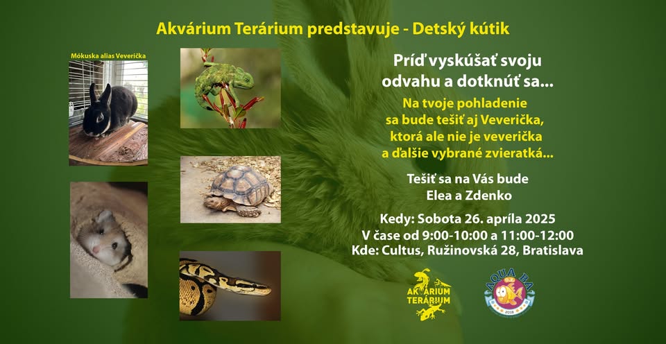 Detský kútik - príď si pohladiť...