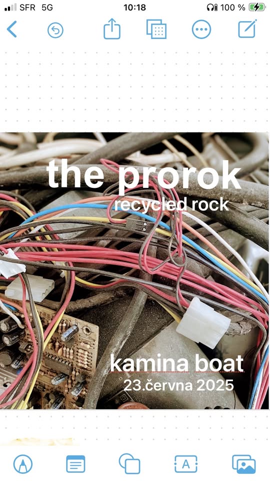 the prorok