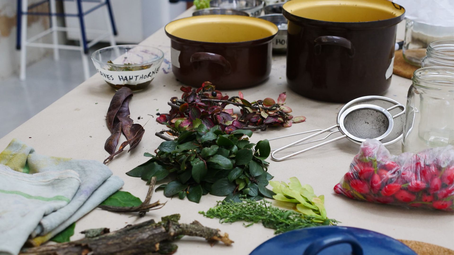 Printing with the natural world at WIRWIR