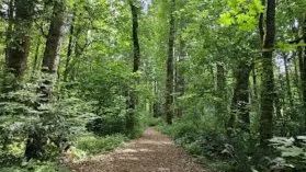 Mary S. Young State Park