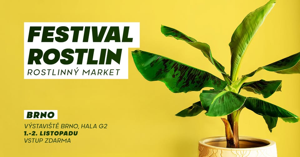 Plant festival in Brno - large plant market at Super Price