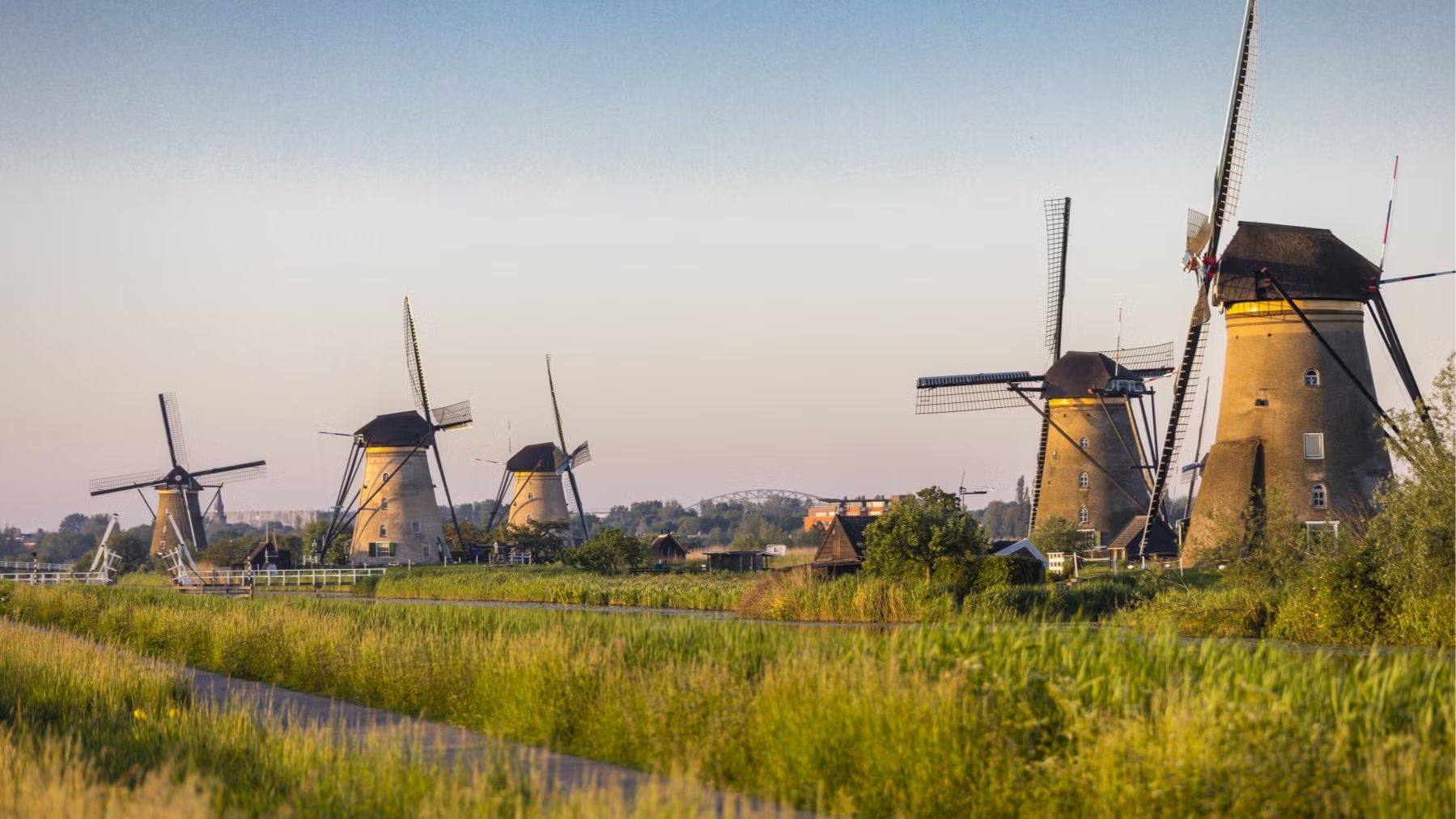 Day trip to Rotterdam and Kinderdijk 🏙️❤️🌾