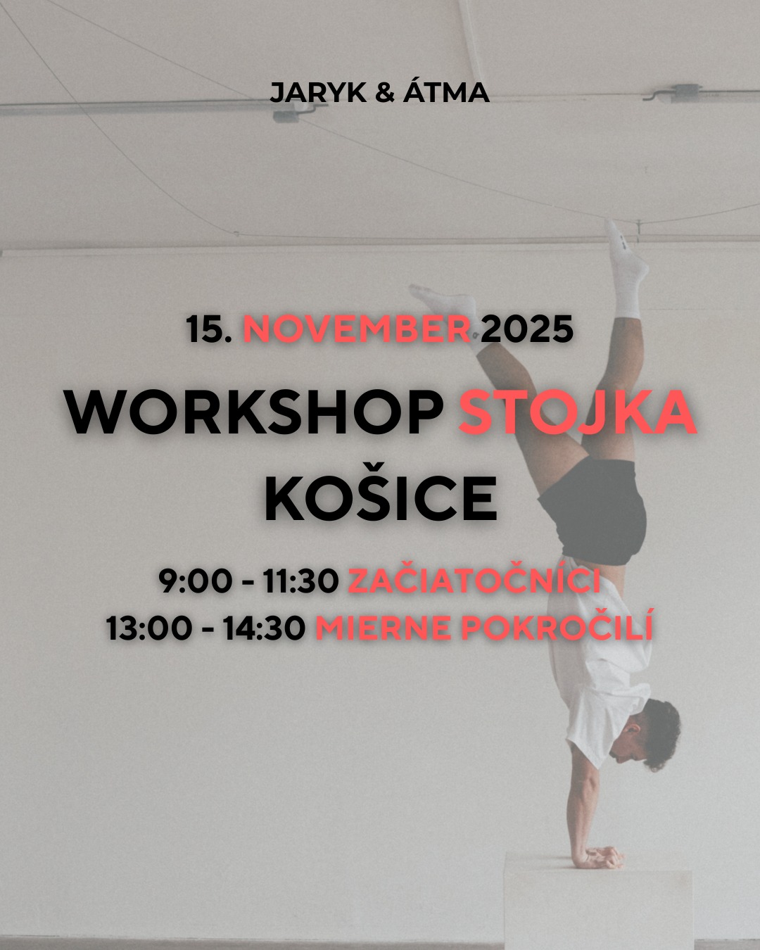 workshop STOJKA NA RUKÁCH