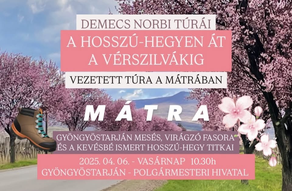 Vérszilva túra - a Hosszú-hegyen át a vérszilva fasorig // Gyöngyöstarján, Mátra