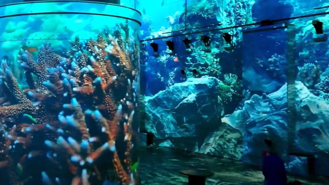 🌊 Dive into "De Zee" at Fabrique des Lumières